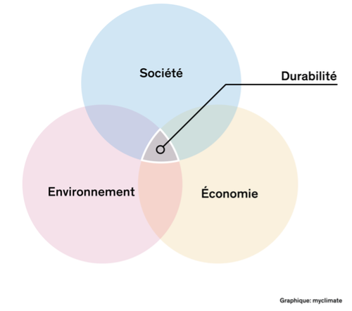 Blog-PaHRtners-graphique-durabilite-ressources humaines.png